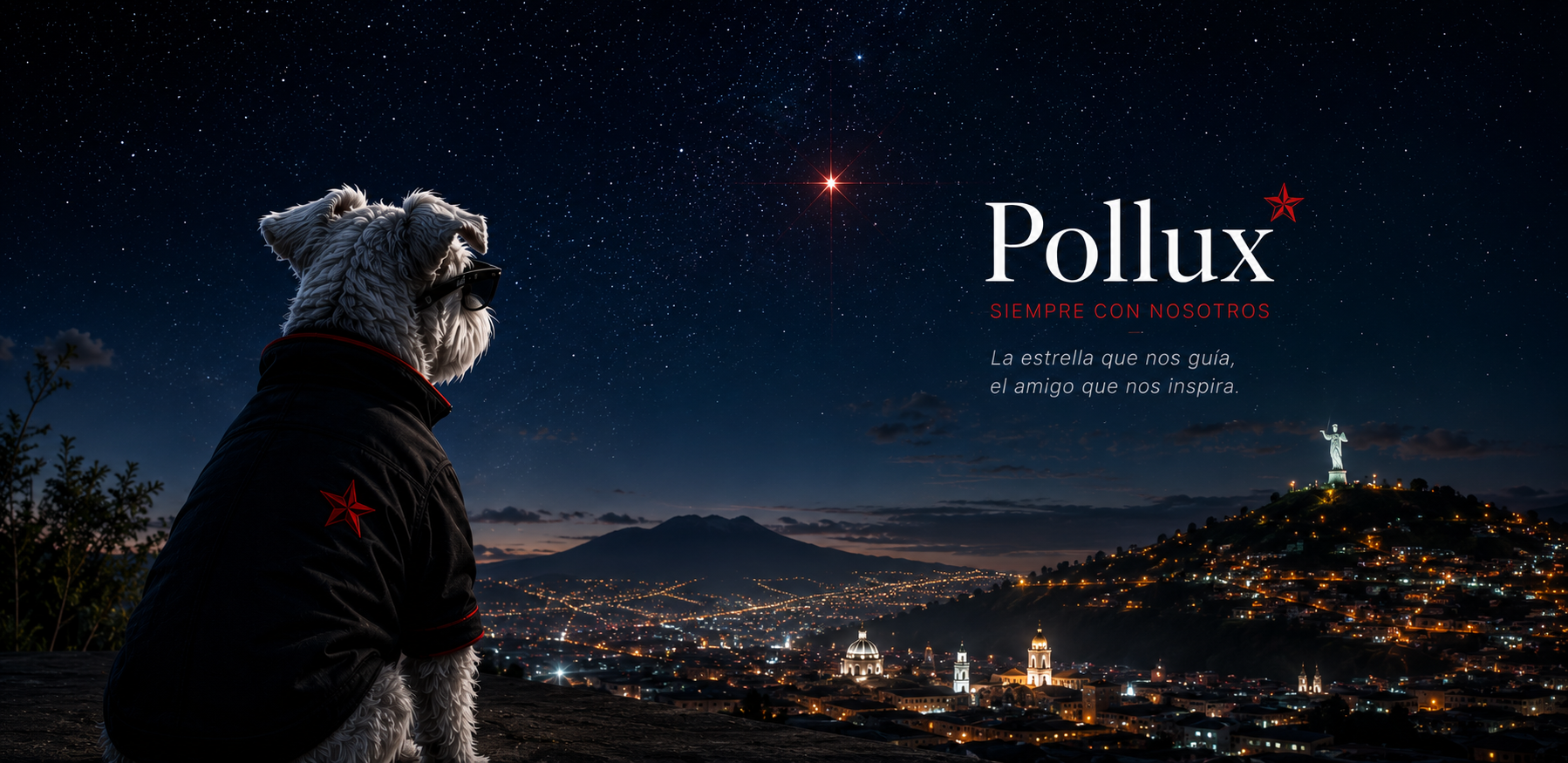Pollux mirando Quito